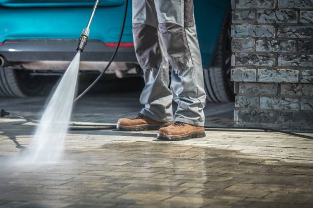 Best Vinyl Siding Pressure Washing in Perry Park, CO