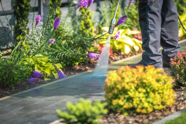 Best Gutter Cleaning and Brightening in Perry Park, CO